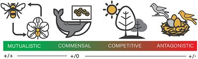 Grand Challenges in Coevolution